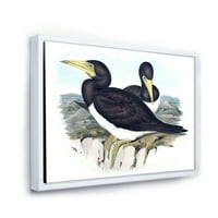 DesignArt 'Антички австралиски птици xii' Традиционална врамена платно wallидна уметност печатење
