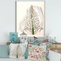 DesignArt 'Бела гроздобер орхидеја I' Традиционална врамена платно wallидна уметност печатење
