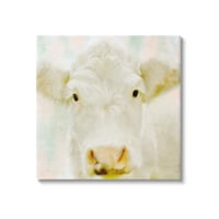 Студената индустрија мека бела крава говеда на лице, слоевито слоевитост во позадина, галерија, завиткано од платно, печатена wallидна уметност, 36х36