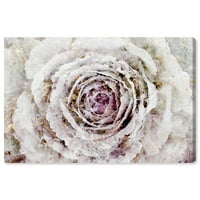 Студио Винвуд Студио Флорална и ботаничка wallидна уметност платно ги отпечати „Зимски њујоршки цвеќиња“ цвеќиња - бели, розови