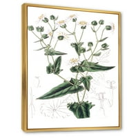 DesignArt 'Антички растителен живот xxii' Традиционална врамена платна wallидна уметност печатење