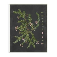 Студената индустрија ботанички цртеж цвет розово на црна дизајн wallидна плоча со буква и наредена